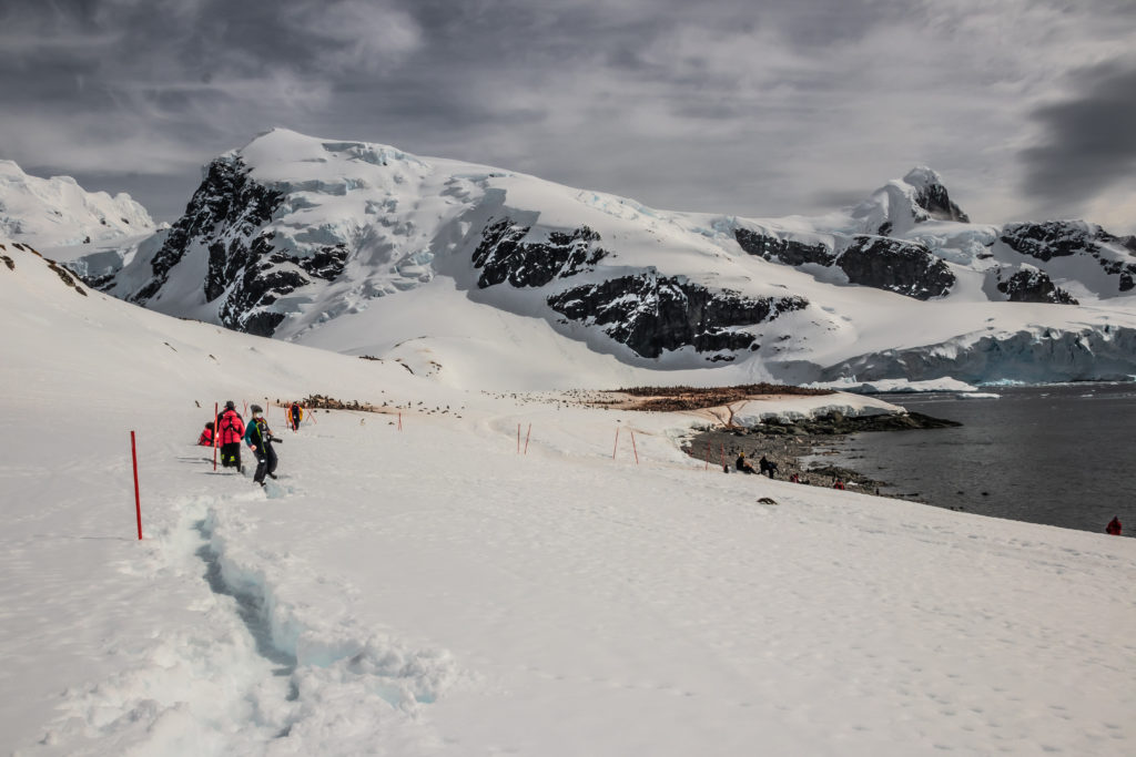 A snow-covered mountain landscape with distant figures walking on a carved-out path in Antarctica