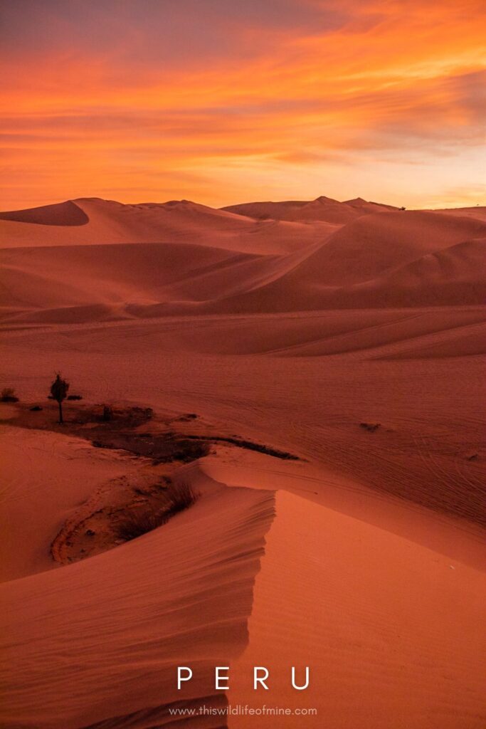 Your perfect Peru itinerary - for 2, 3 or 4 weeks