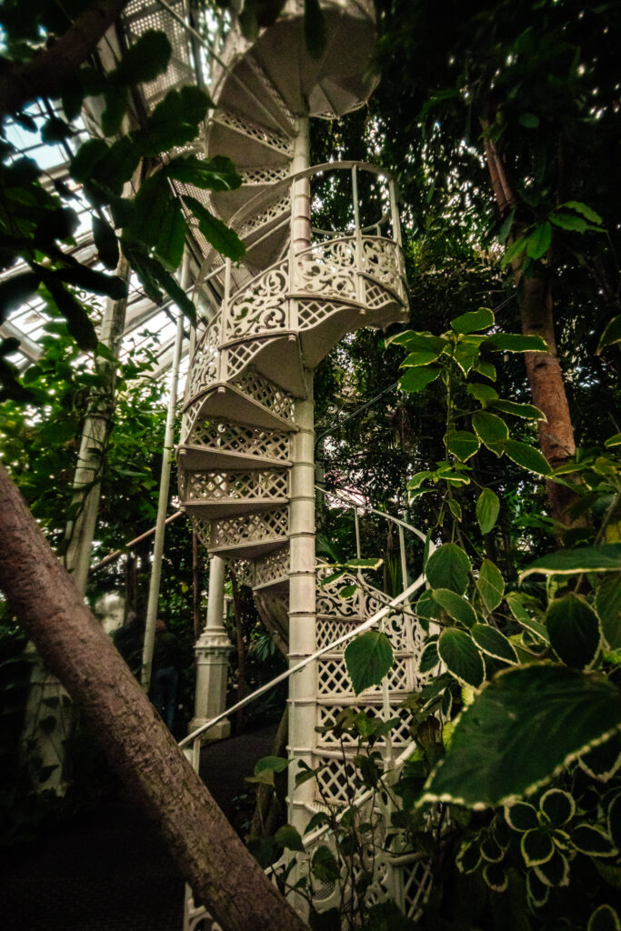 A spiral staircase surrounded by greenery at the Botanical Gardens of Copenhagen