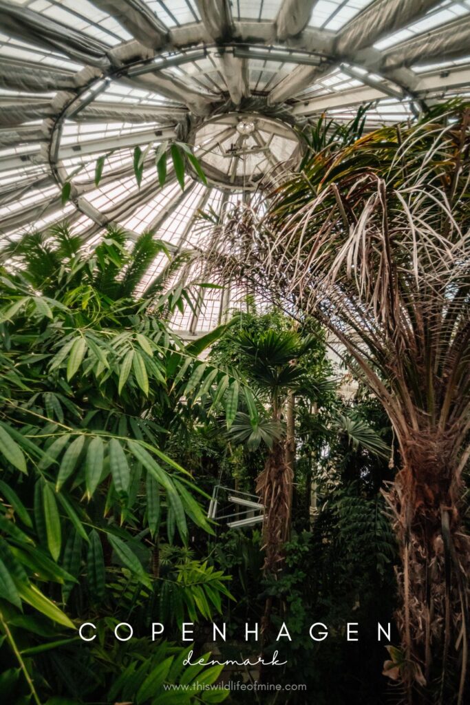 The best photo spots in Copenhagen, Denmark