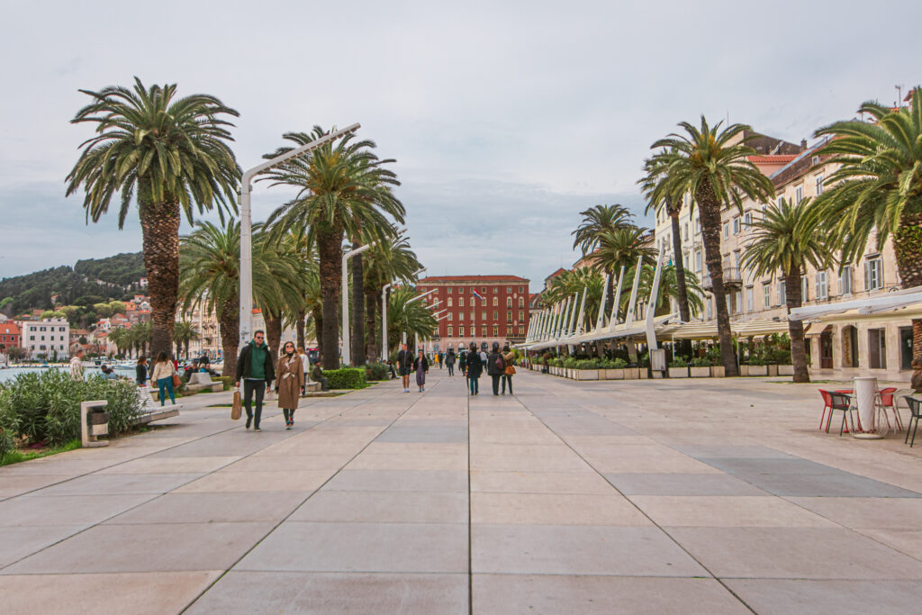 Palm trees line the Riva waterfront area of Split, one of the best places to spend your days there
