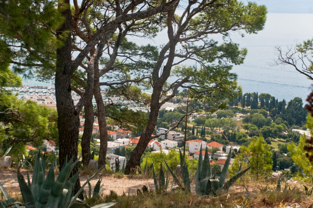 Trees and greenery on Marjan Hill, above Split, Croatia