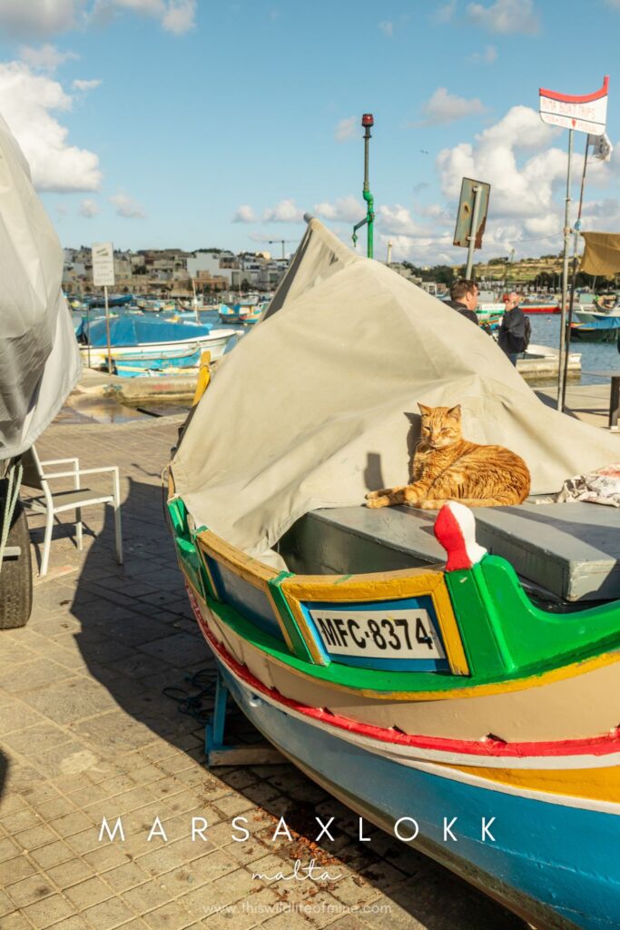 How to spend three epic, budget-friendly days in Malta