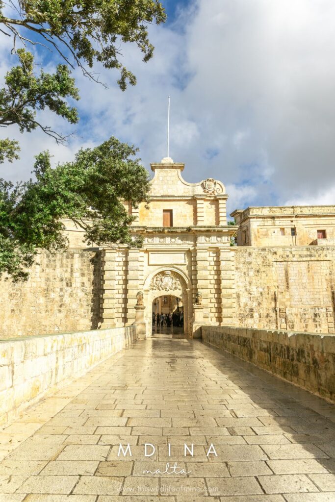 How to spend three epic, budget-friendly days in Malta