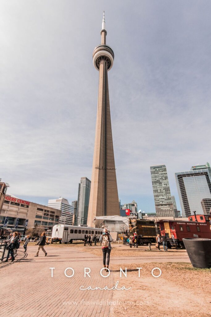 The best photo spots in Toronto