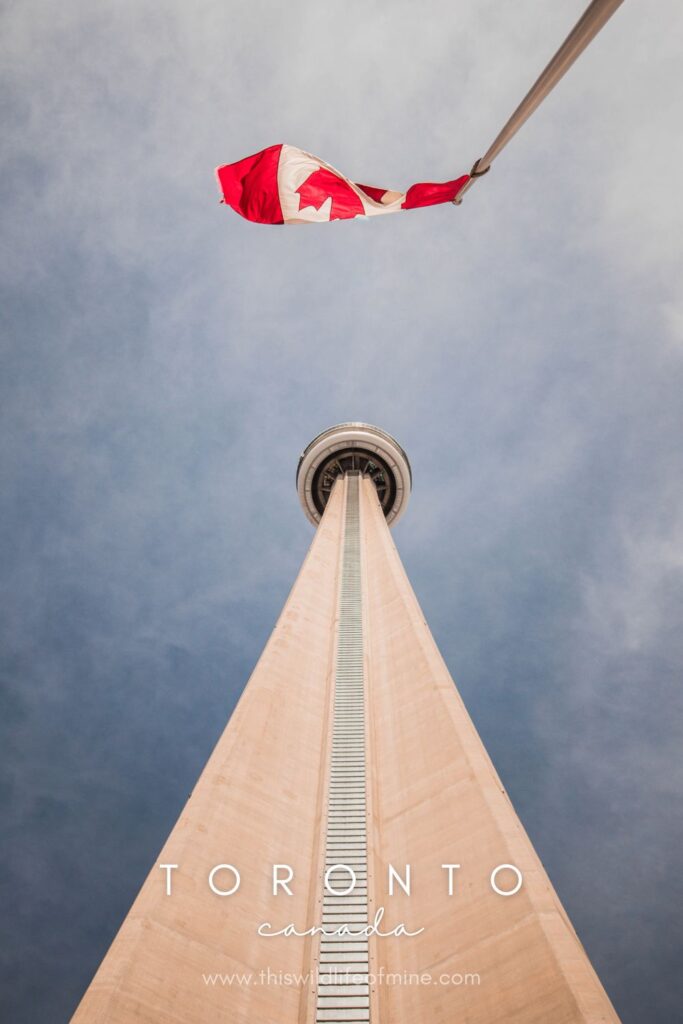 The best photo spots in Toronto
