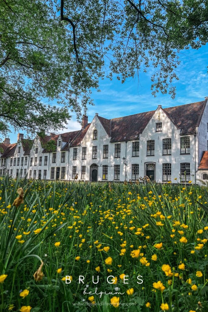 How to spend the perfect day in Bruges, Belgium