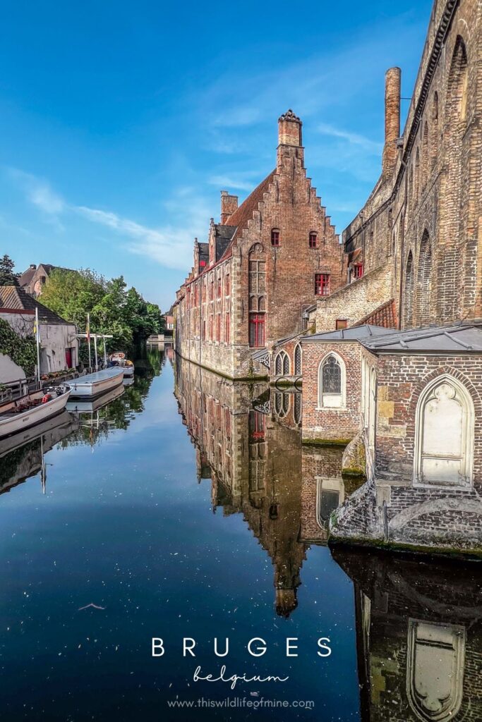 How to spend the perfect day in Bruges, Belgium
