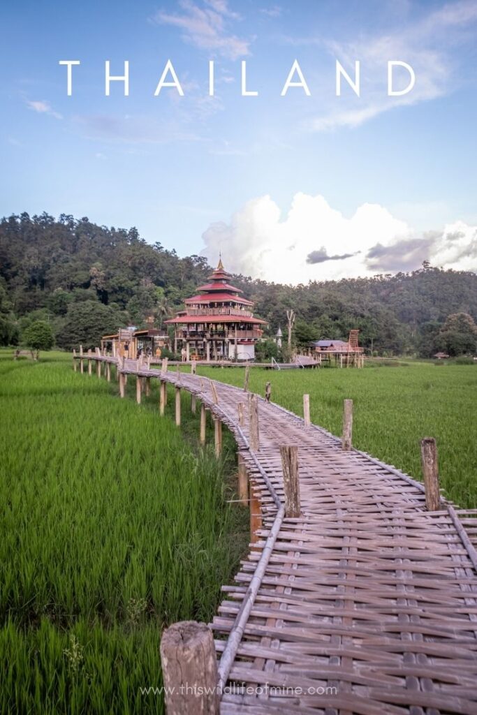Five weeks in Thailand - a first-time itinerary