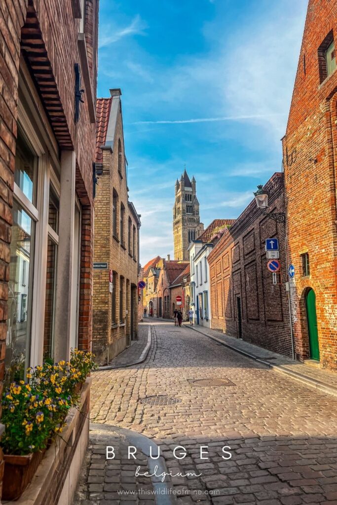 How to spend the perfect day in Bruges, Belgium