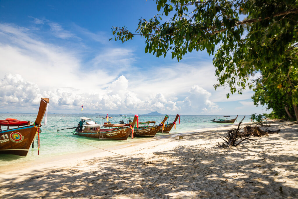 Thai boats on a golden beach with a blue sky and trees overhanging