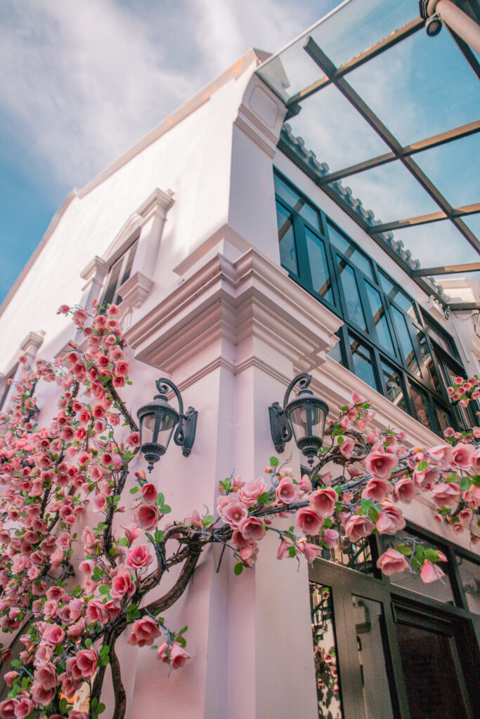 Pink flowers on the side of a white building in Phuket's Old Town