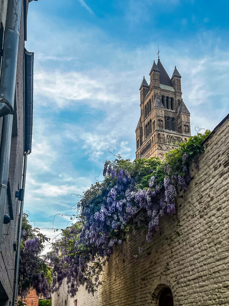 The spire of St. Sebastian over an alley covered in hanging flowers