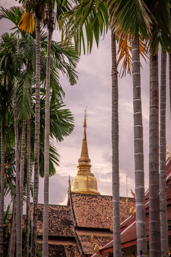 The spire of a temple through palm trees, in Chiang Mai