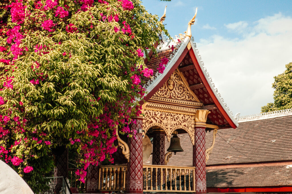 The curved roof of a temple next to a tree filled with pink flowers