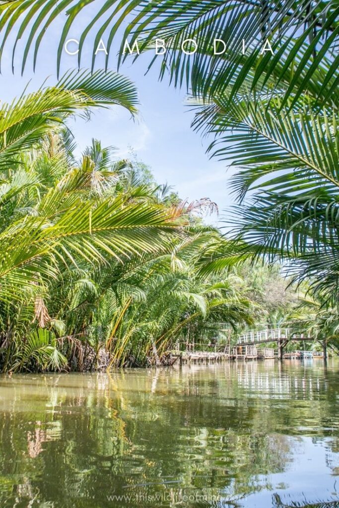 Two weeks in Cambodia - a first-time itinerary - title image