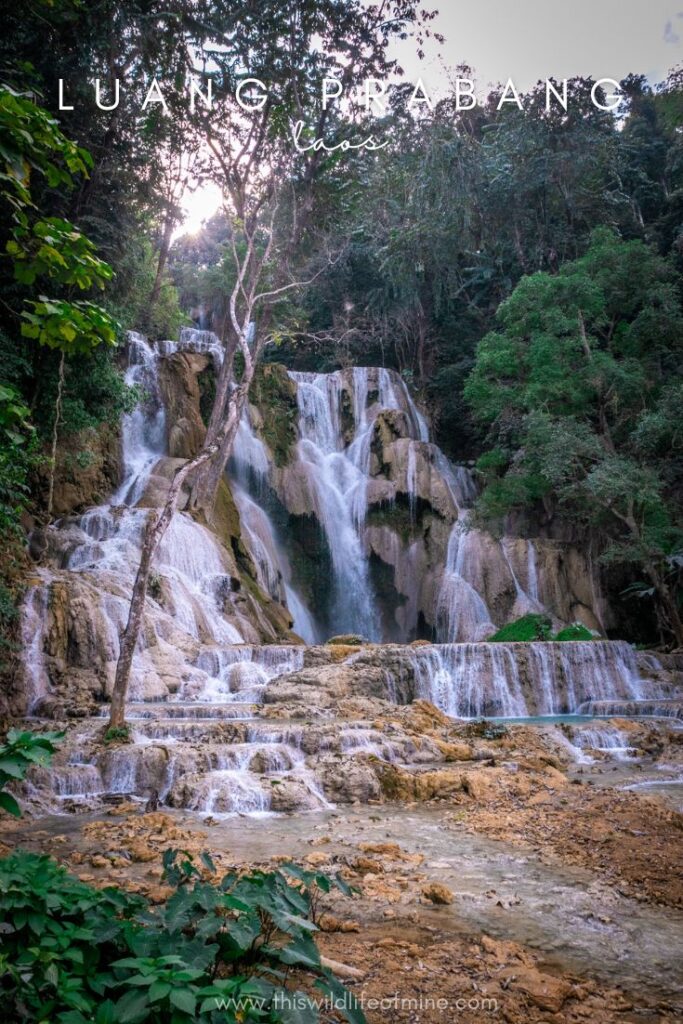 Why you need to visit Luang Prabang