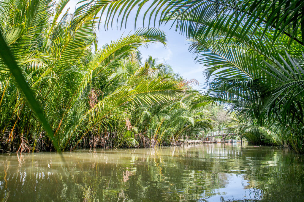 Tall palm fronds create a natural roof over a narrow canal