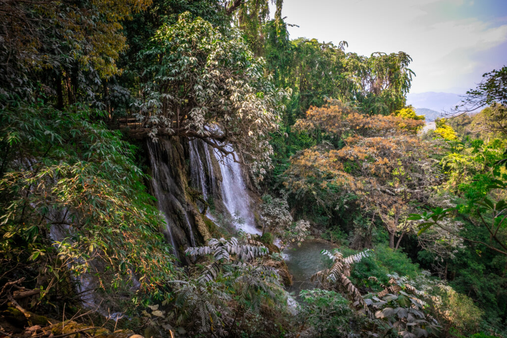 A long waterfall seen between trees from the wide