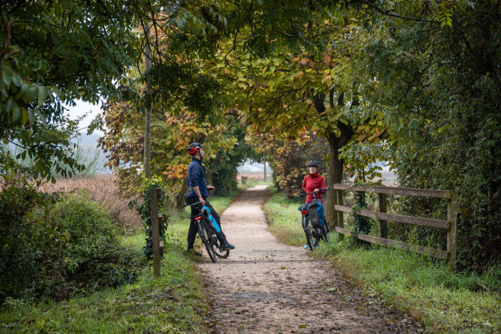 Two cyclists stopped for a rest on a tree-lined pathway