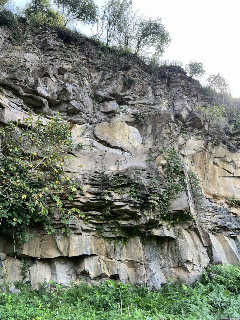 Different layers within a rocky cliff