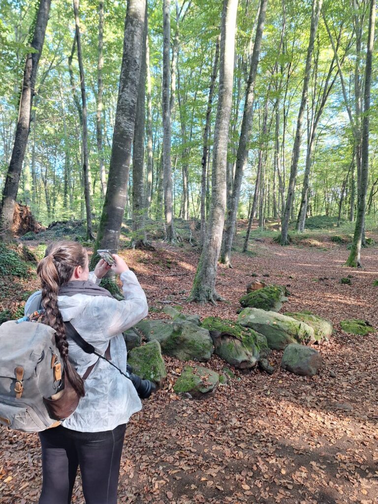 A woman taking pictures in a beech forest