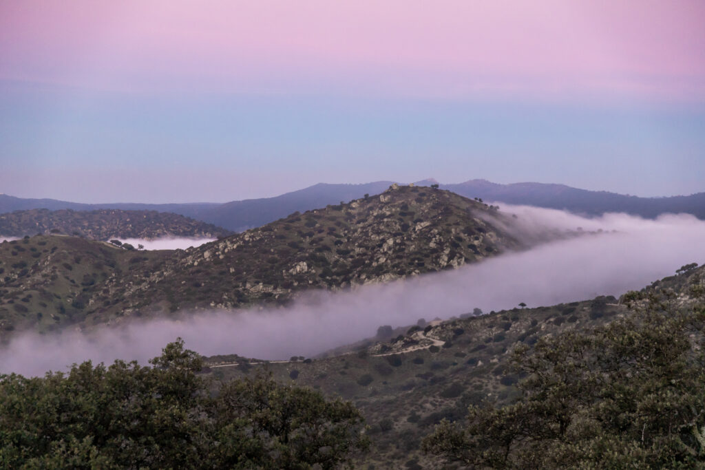 Pastel pink sky over a valley with fog between hills