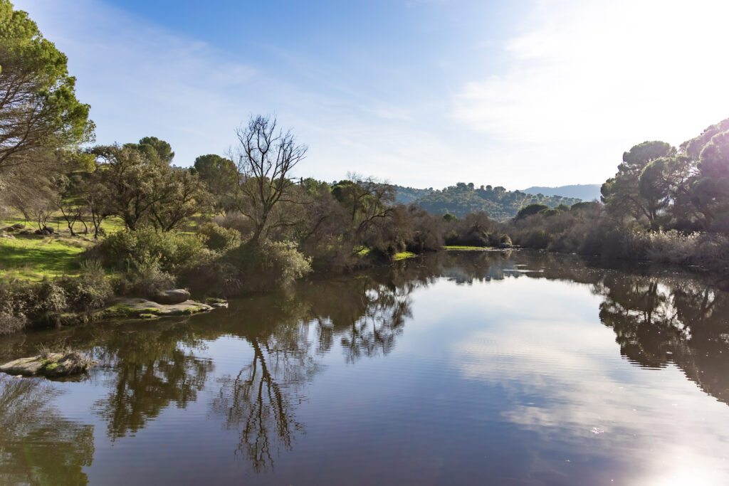Blue skies reflected in a river, with rocky banks and trees