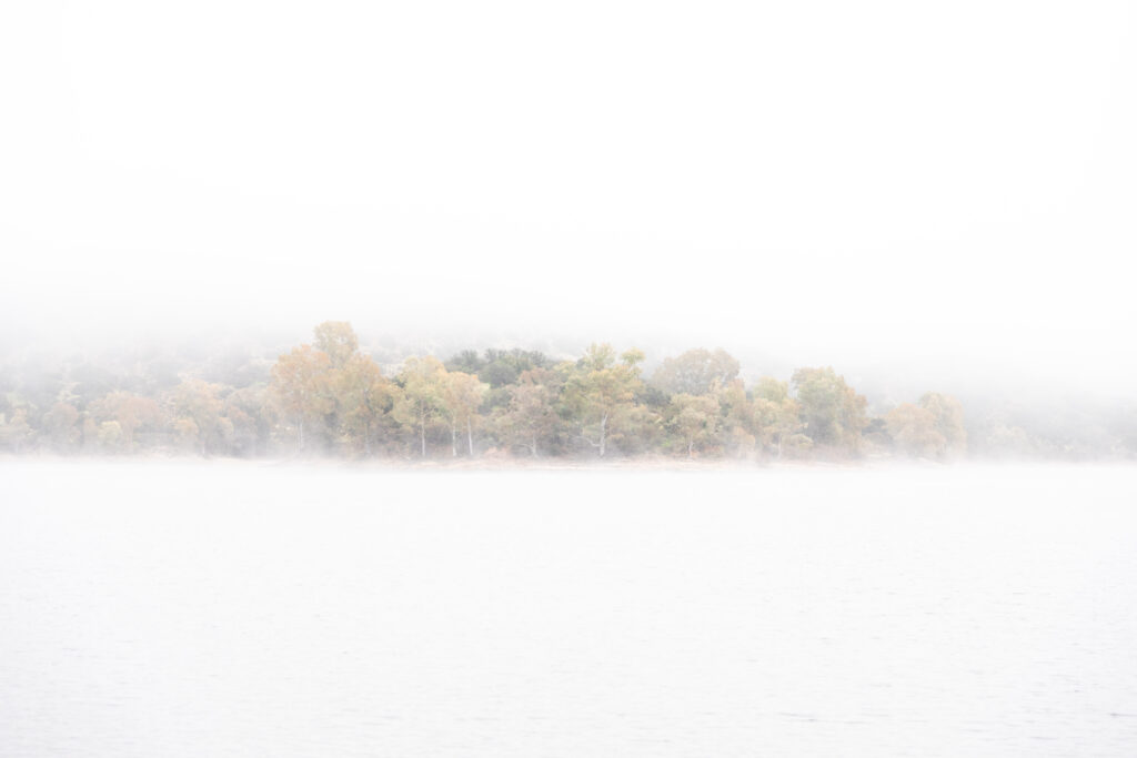 A lakeshore in heavy fog, with some trees on the opposite bank visible