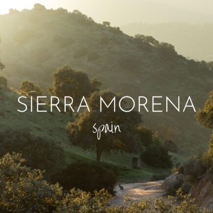 Searching for lynx in the Sierra Morena region of Spain