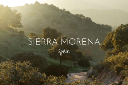 Searching for lynx in the Sierra Morena region of Spain