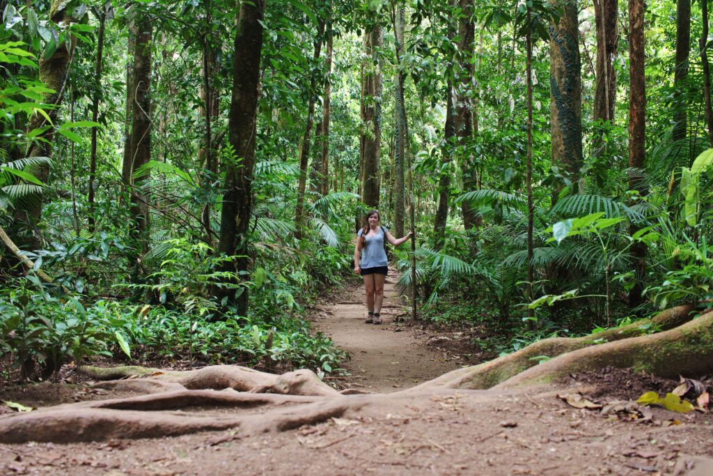 A figure walking along a dirt trail surrounded by green trees