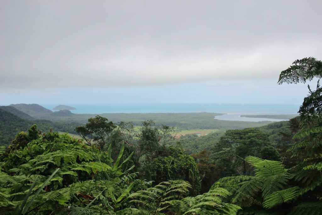 View from a high lookout over thick rainforest, with beach and ocean in the distance