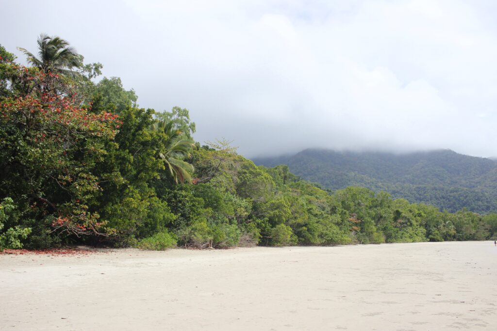 An empty sandy beach with forest and mountains